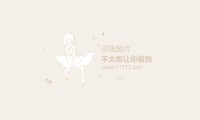 豪强对决，挑战最高赛事荣耀的简单介绍